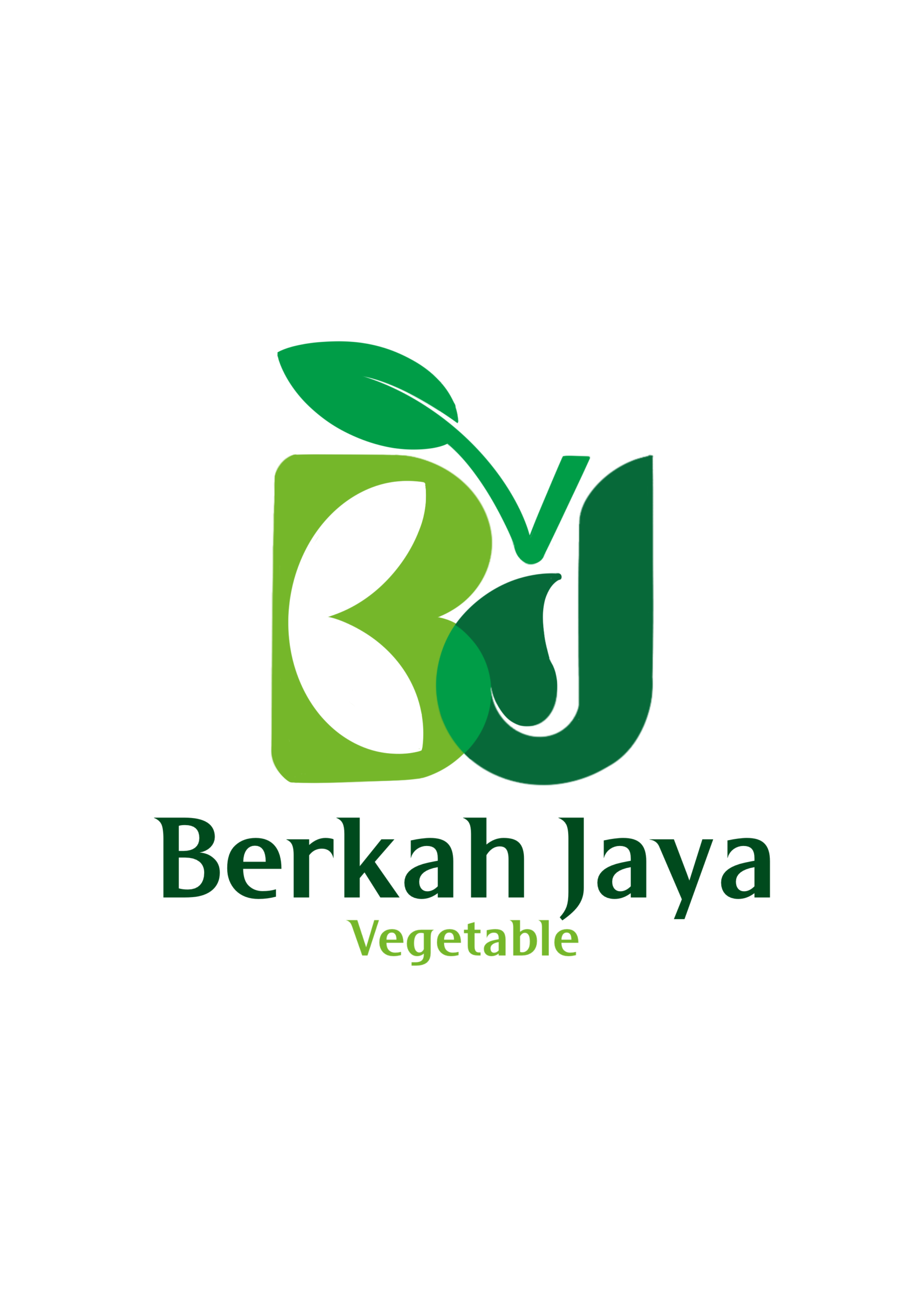 berkahjayastore.com