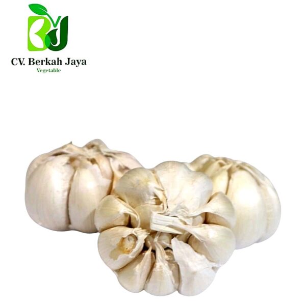 WhatsApp Image 2026-05-11 at 14.49.22 (1) Bawang Putih