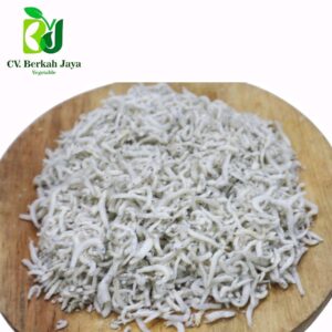 Teri Medan