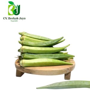 WhatsApp Image 2026-05-11 at 15.14.43 Okra