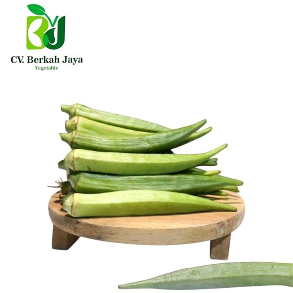 WhatsApp Image 2026-05-11 at 15.14.43 Okra