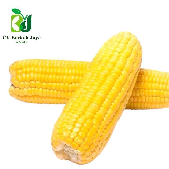 WhatsApp Image 2026-05-11 at 15.14.44 (2) Jagung Manis Kupas