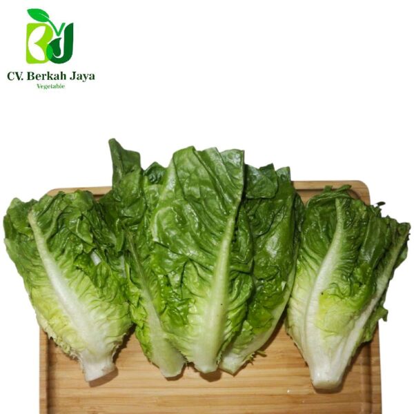 WhatsApp Image 2026-05-11 at 15.14.45 (2) Romaine