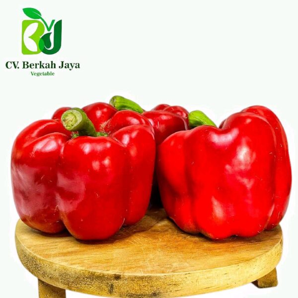 WhatsApp Image 2026-05-12 at 18.32.32 Paprika Merah