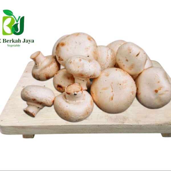 WhatsApp Image 2026-05-12 at 18.35.30 Jamur Champignon