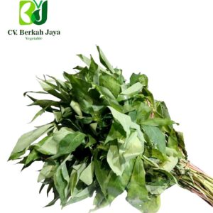 WhatsApp Image 2026-05-12 at 18.38.27 (1) Daun Singkong