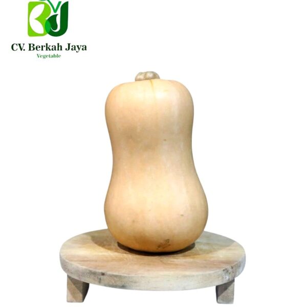 WhatsApp Image 2026-05-12 at 18.40.46 Labu Butternut