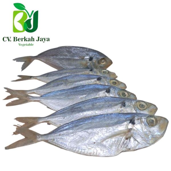 Ikan Asin Sellar