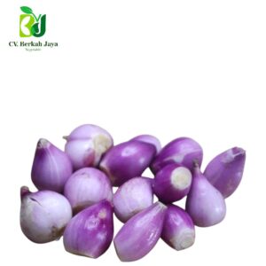 WhatsApp Image 2026-05-12 at 18.42.27 (1) Bawang Merah Brebes Kupas