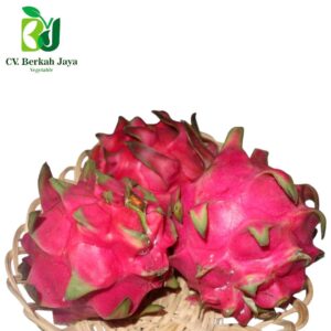 WhatsApp Image 2026-05-12 at 18.46.04 Buah Naga