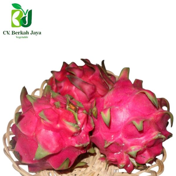 Buah Naga