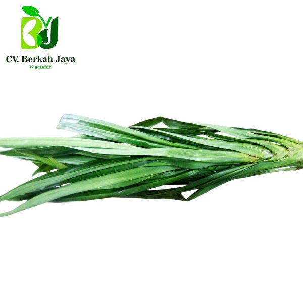 WhatsApp Image 2026-05-12 at 18.51.04 (2) Daun Pandan