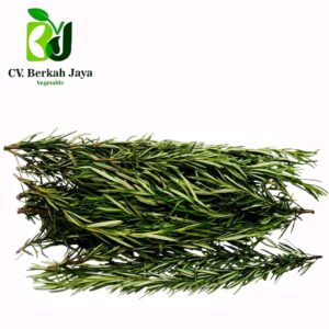 Rosemary