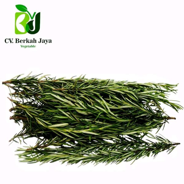 WhatsApp Image 2026-05-12 at 18.51.04 Rosemary