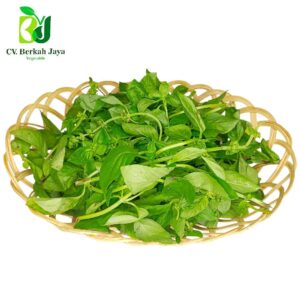 Daun Basil