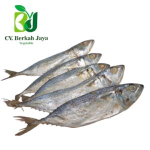 Ikan Asin Peda