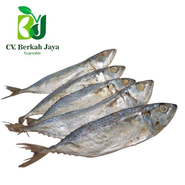 WhatsApp Image 2026-05-13 at 16.58.08 (1) Ikan Asin Peda