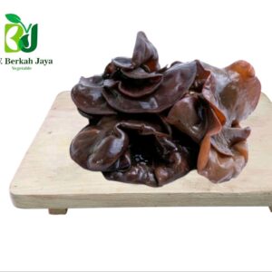 Jamur Kuping