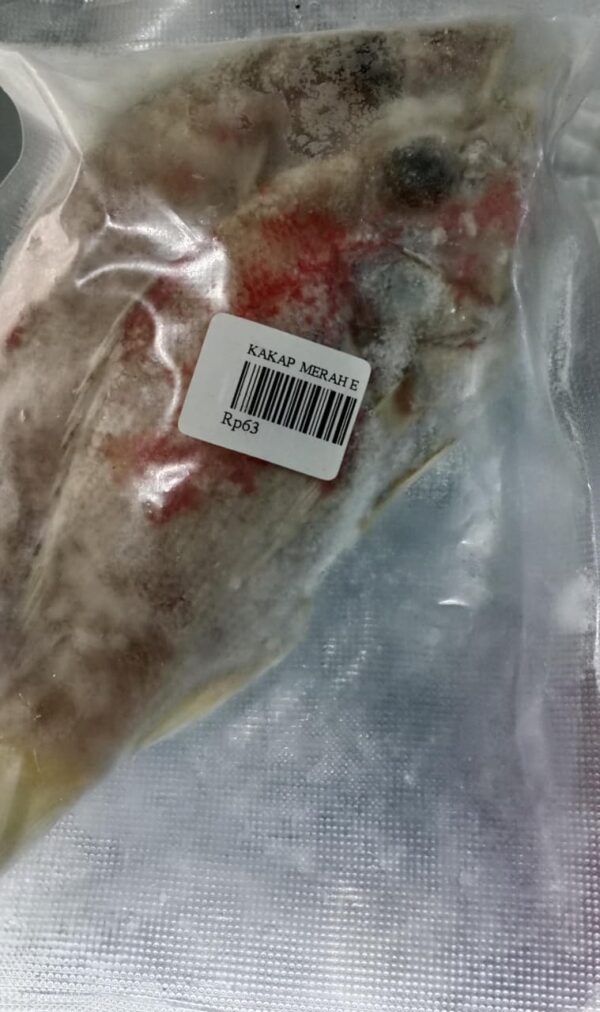 WhatsApp Image 2026-05-14 at 17.49.09 (2) Kakap Merah