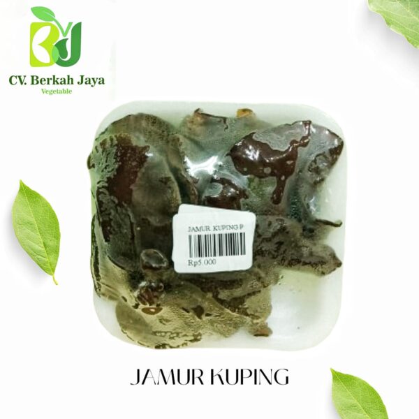 WhatsApp Image 2026-05-15 at 17.42.51 Jamur Kuping