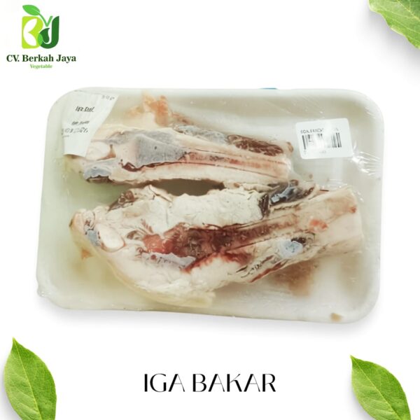 WhatsApp Image 2026-05-15 at 19.04.12 Iga Bakar