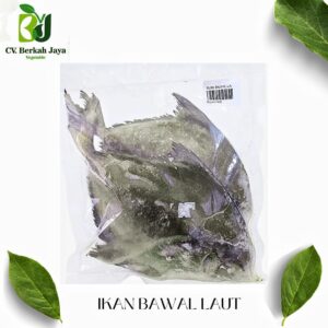 Bawal Laut
