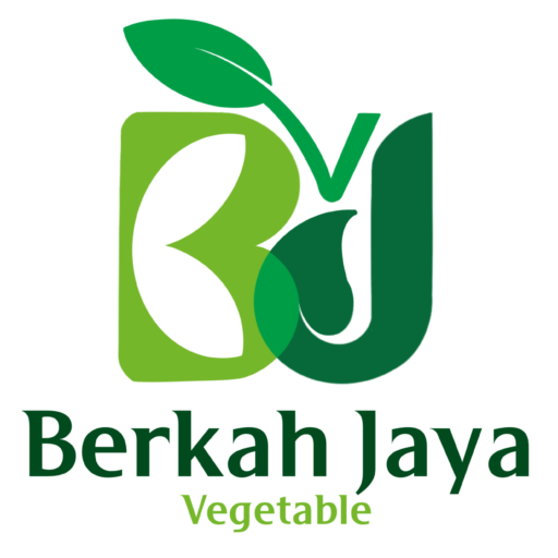 berkahjayastore.com