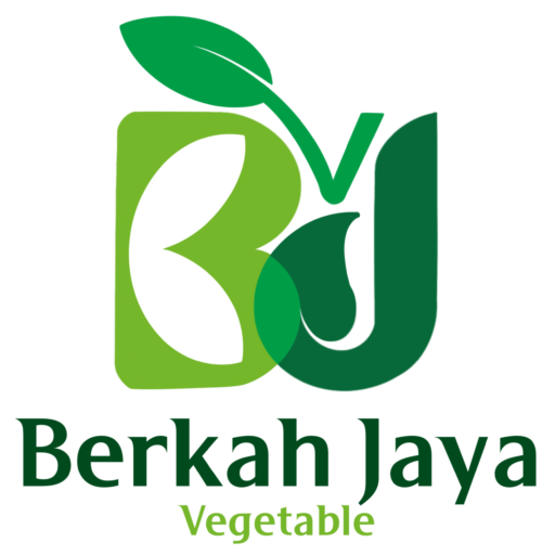 berkahjayastore.com