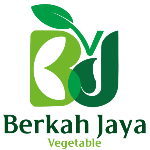 Berkah Jaya Store