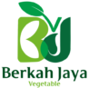 Berkah Jaya Store